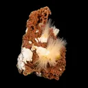 Mesolite spray with Sparkling Brown Chalcedony Natural Mineral Specimen - image 3