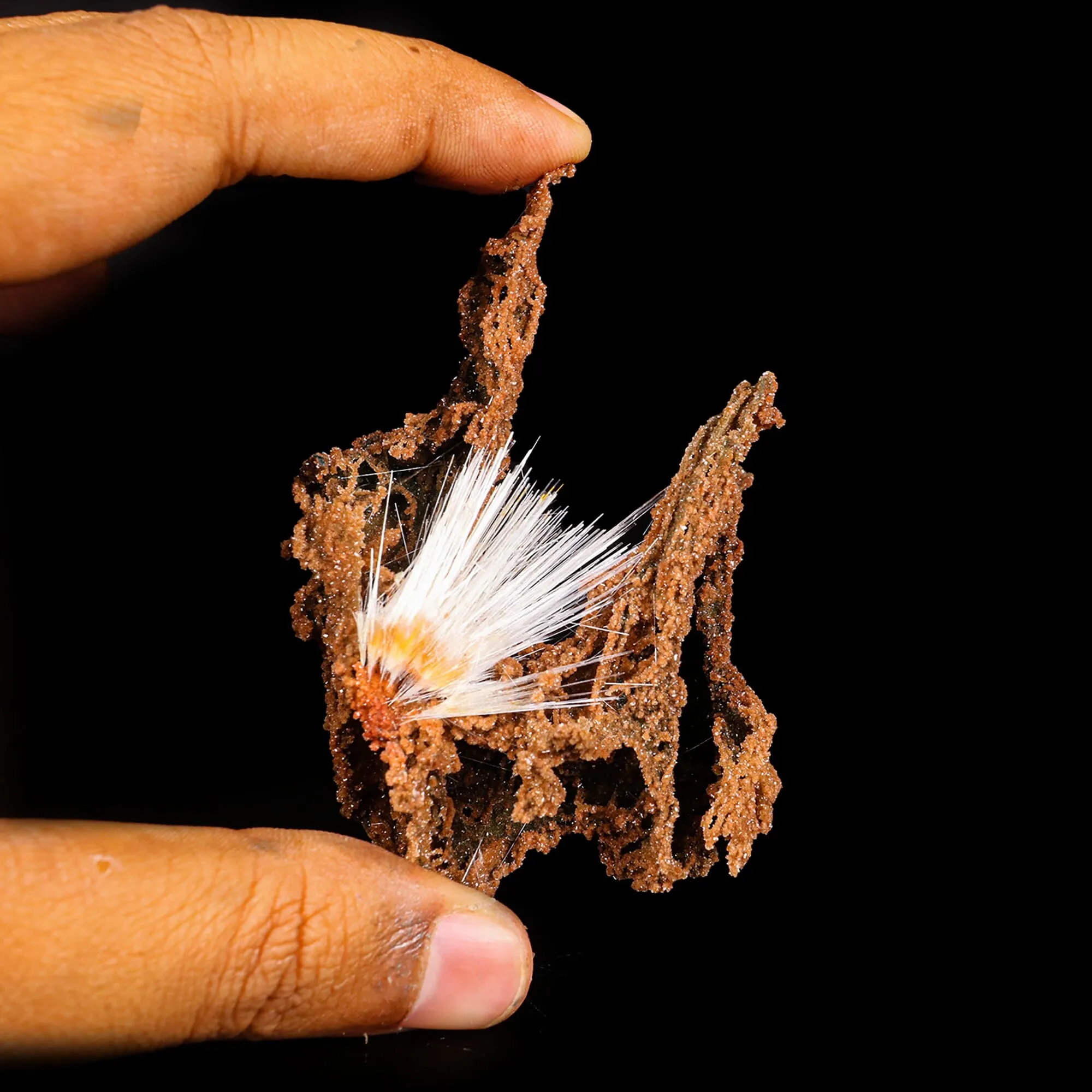 Mesolite spray with Sparkling Brown Chalcedony Natural Mineral Specimen - image 5