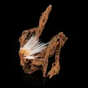 Mesolite spray with Sparkling Brown Chalcedony Natural Mineral Specimen - image 2