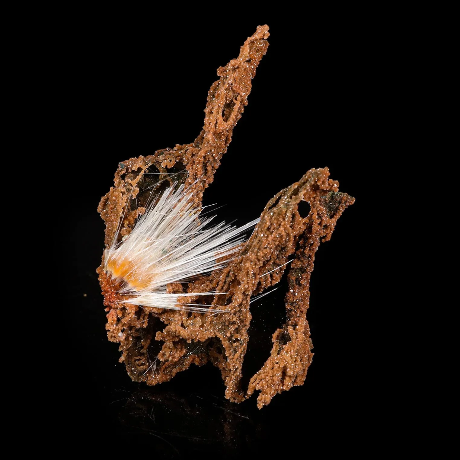 Mesolite spray with Sparkling Brown Chalcedony Natural Mineral Specimen - image 2