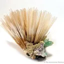 Mesolite With Apophyllite - image 1