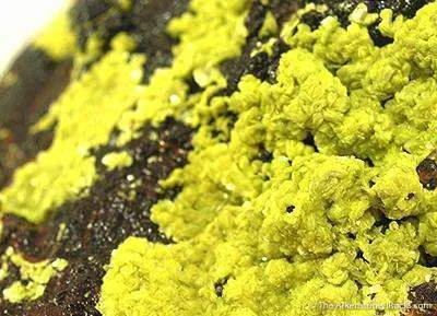 Meta-autunite - image 2