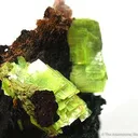 Meta-autunite - image 2