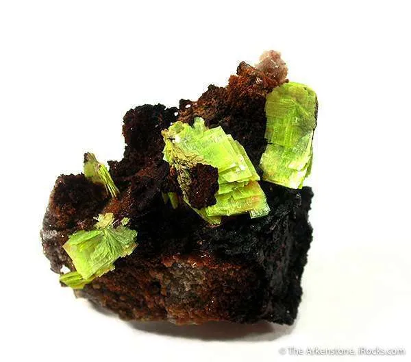 Meta-autunite image