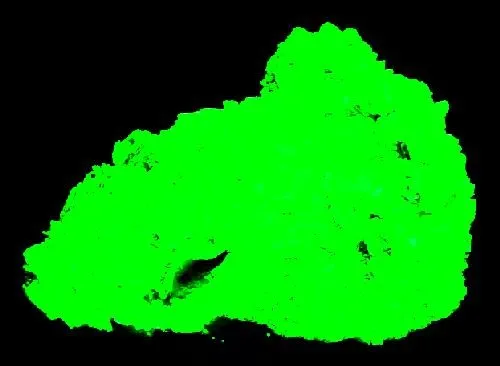 Meta-autunite - image 3