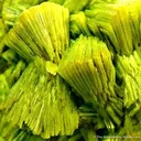 Meta-autunite - image 2