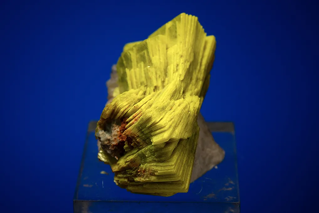Meta-autunite - image 3