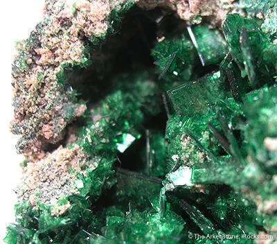 Metatorbernite With Malachite - image 2