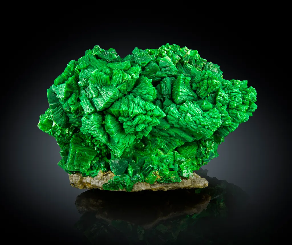 Metatorbernite with Meta-autunite image