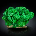 Metatorbernite with Meta-autunite - image 1