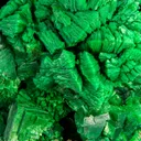 Metatorbernite with Meta-autunite - image 3