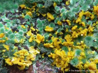 Metatyuyamunite on Malachite - image 2