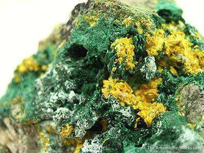 Metatyuyamunite on Malachite - image 2