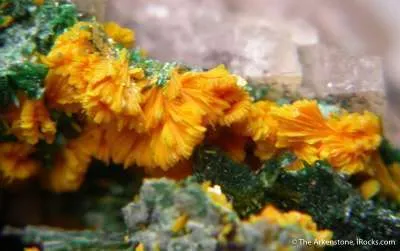 Metatyuyamunite With Malachite image