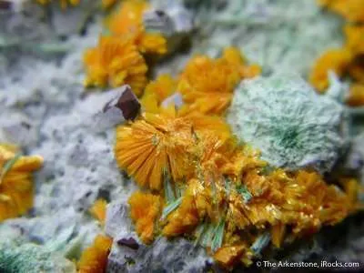 Metatyuyamunite With Malachite on Chrysocolla image