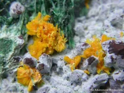 Metatyuyamunite With Malachite on Chrysocolla - image 2