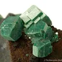 Metazeunerite on Smoky Quartz - image 2