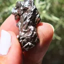 specimen video