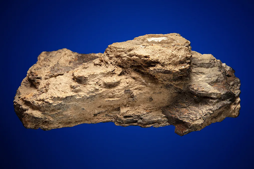 Meteoritic Iron Shale - image 3