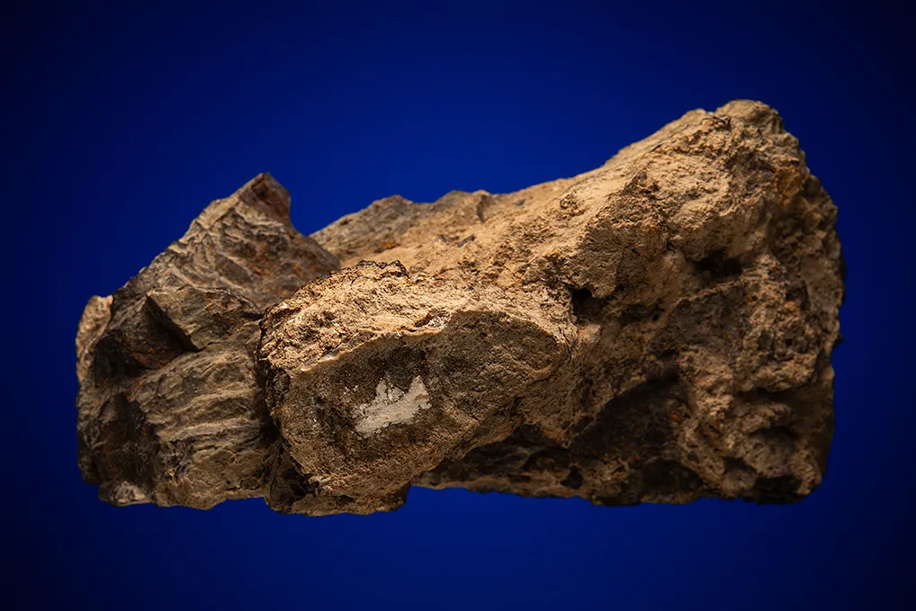 Meteoritic Iron Shale image