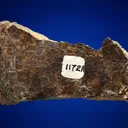 Meteoritic Iron Shale - image 2