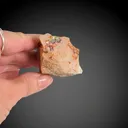 Mexican Fire Opal from Mexico, Queretaro - image 10