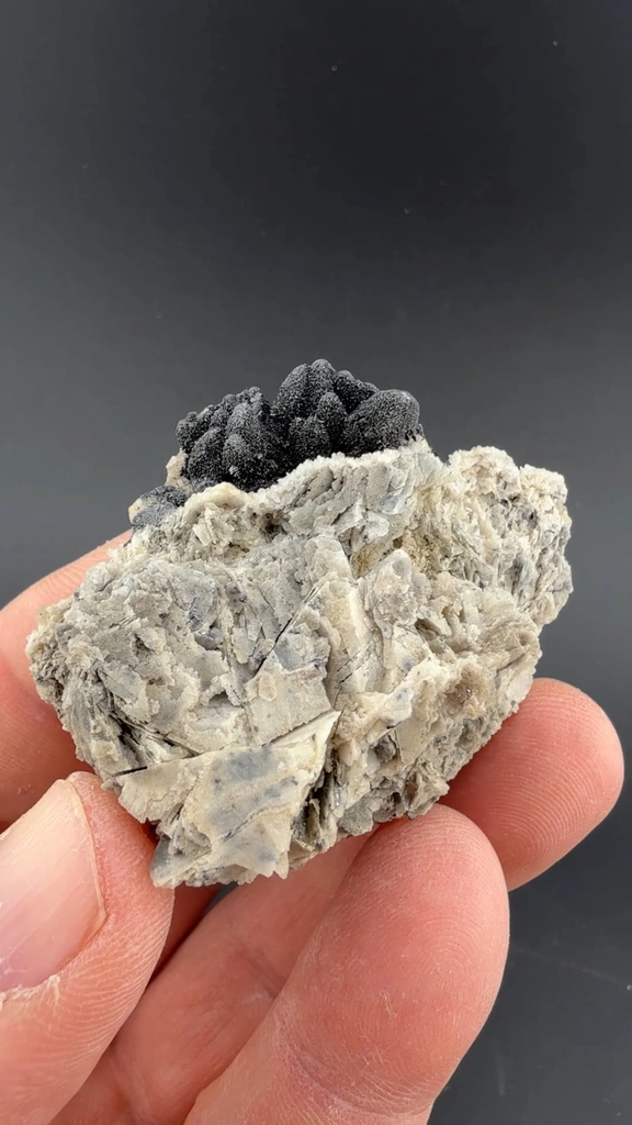 Miargyrite with Pyargyrite, Galena - image 3