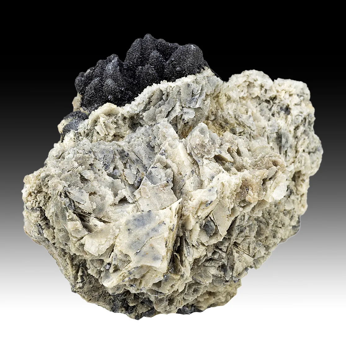 Miargyrite with Pyargyrite, Galena - image 2