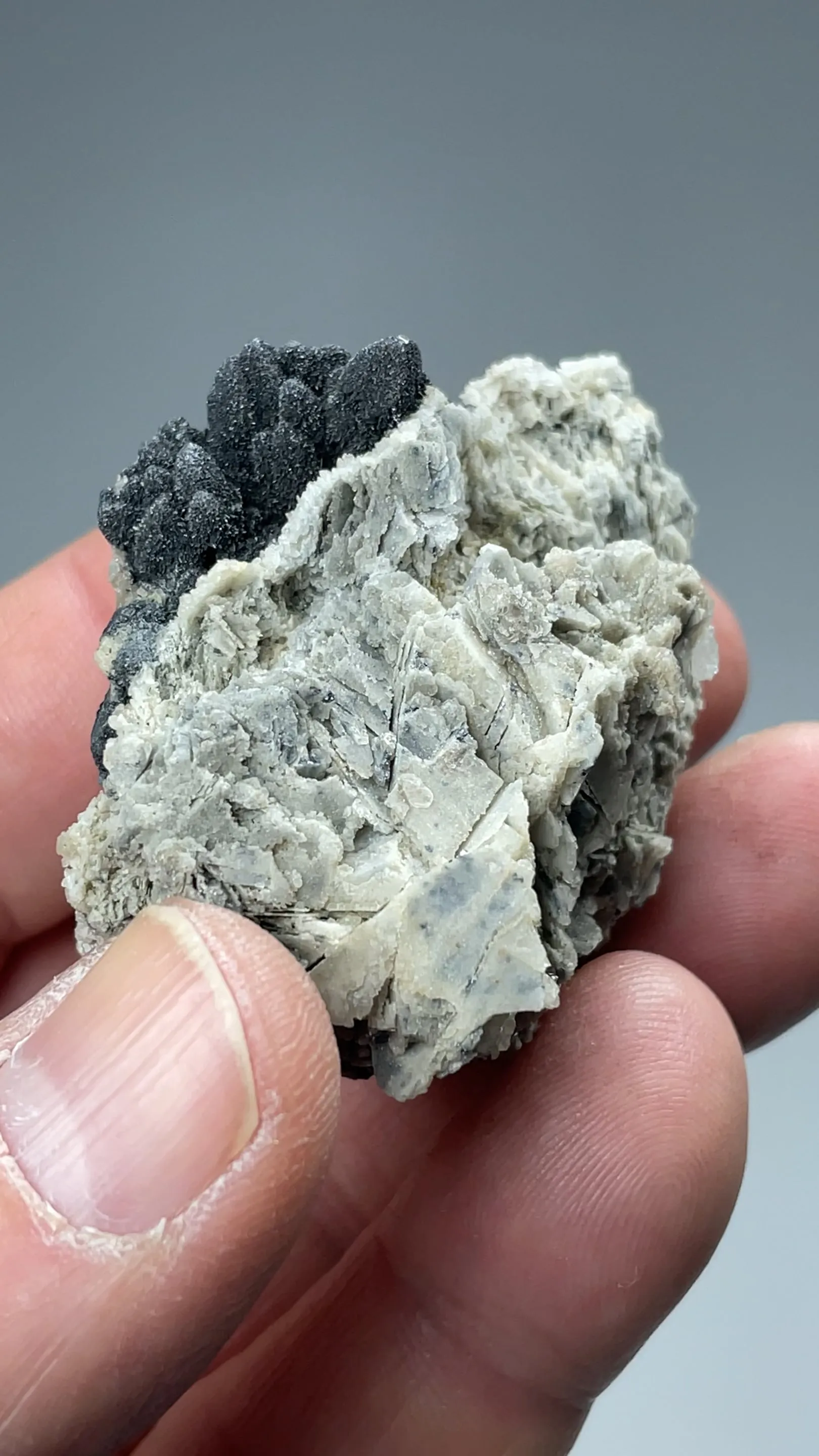 Miargyrite with Pyargyrite, Galena - image 3