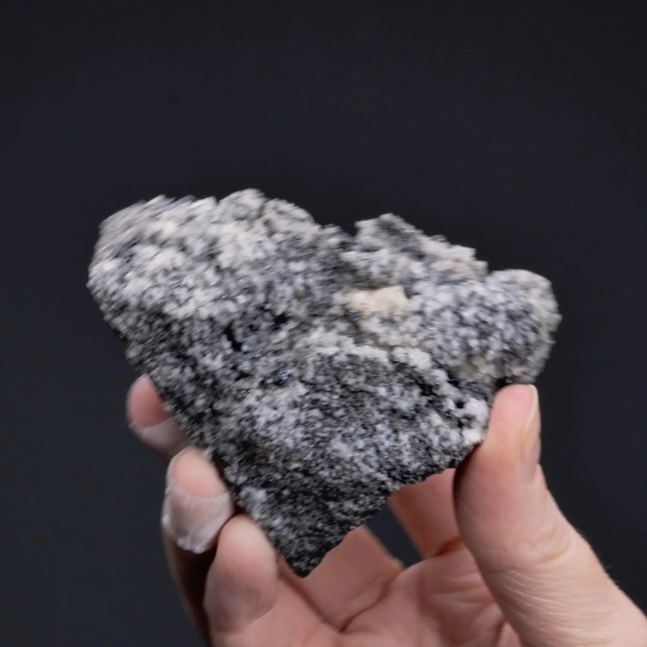 Miargyrite with Pyrargyrite in Quartz - image 2