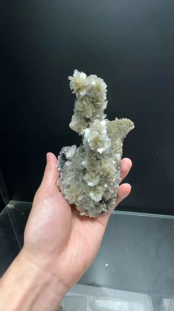 specimen video