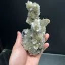 specimen video