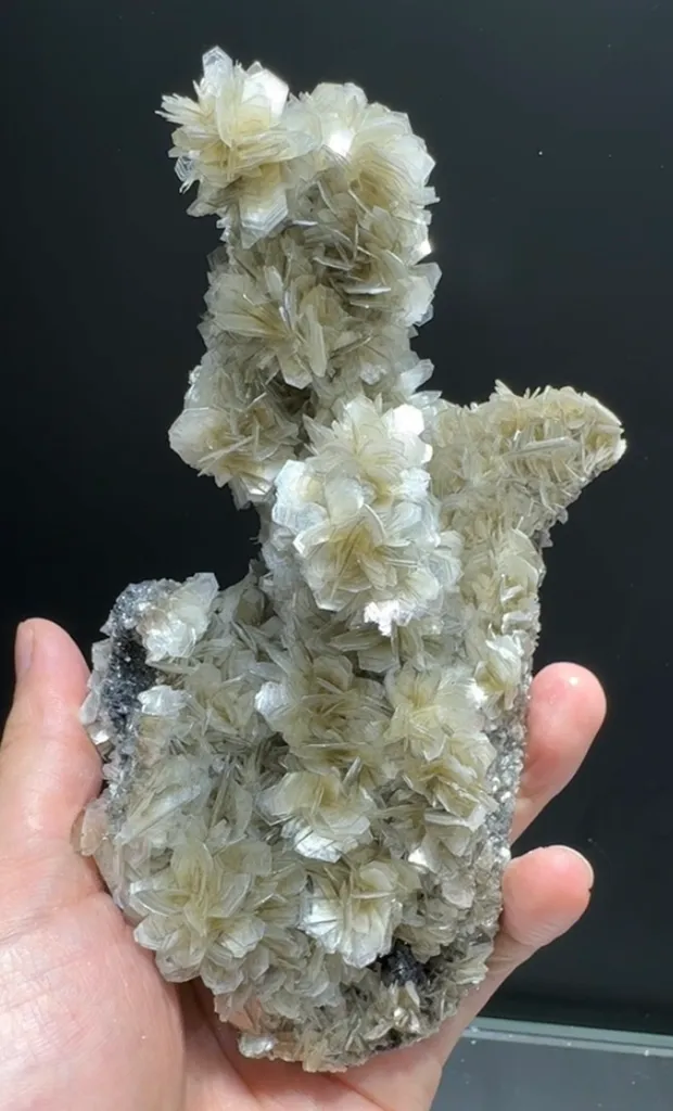 Mica image
