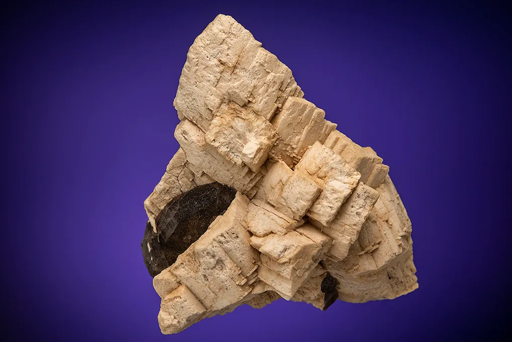 Microcline (Baveno twin) with Quartz var. Smoky image