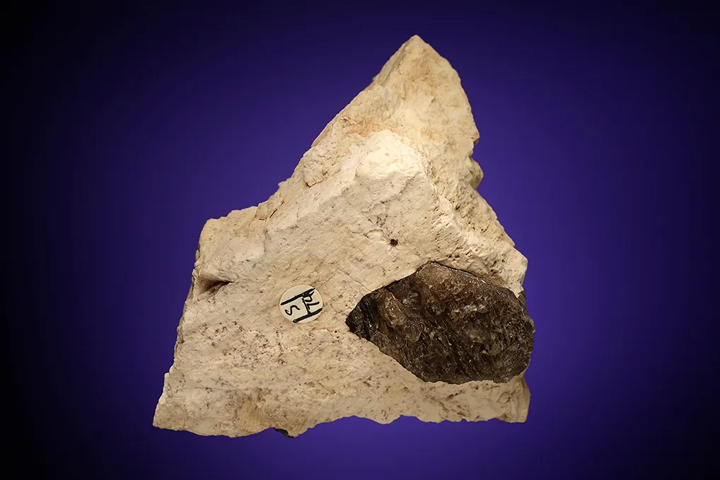 Microcline (Baveno twin) with Quartz var. Smoky - image 2
