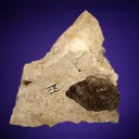 Microcline (Baveno twin) with Quartz var. Smoky - image 2