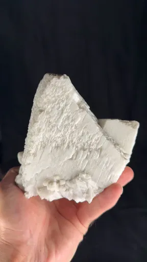 specimen video