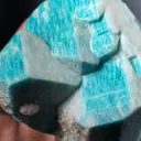 specimen video