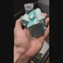specimen video