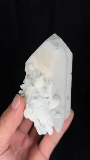 specimen video