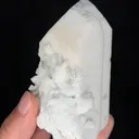 specimen video