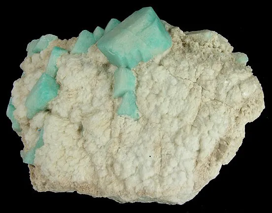 Microcline (Var: Amazonite), Albite image