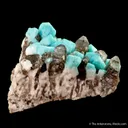 Microcline var. Amazonite and Smoky Quartz - image 2
