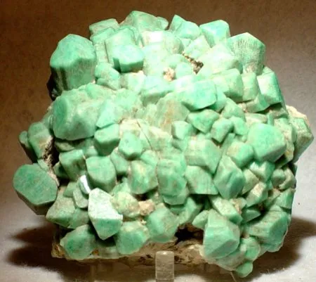 Microcline (Var: Amazonite) image