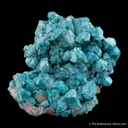 Microcline var. Amazonite on Albite - image 1