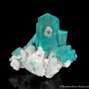 Microcline var. Amazonite on Albite with Fluorite - image 1