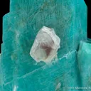 Microcline var. Amazonite on Albite with Fluorite - image 2