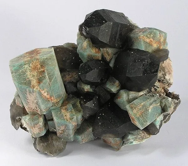 Microcline (Var: Amazonite), Quartz (Var: Smoky Quartz) image