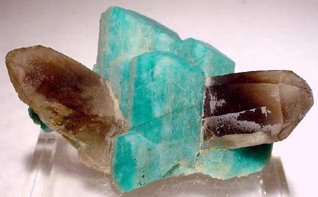 Microcline (Var: Amazonite), Quartz (Var: Smoky Quartz) image
