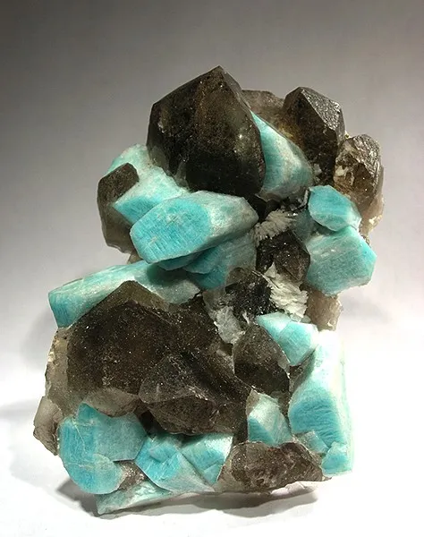 Microcline (Var: Amazonite), Quartz (Var: Smoky Quartz) image